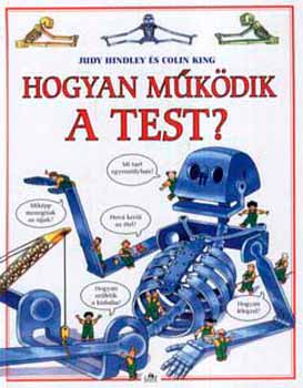 Hogyan működik a test?